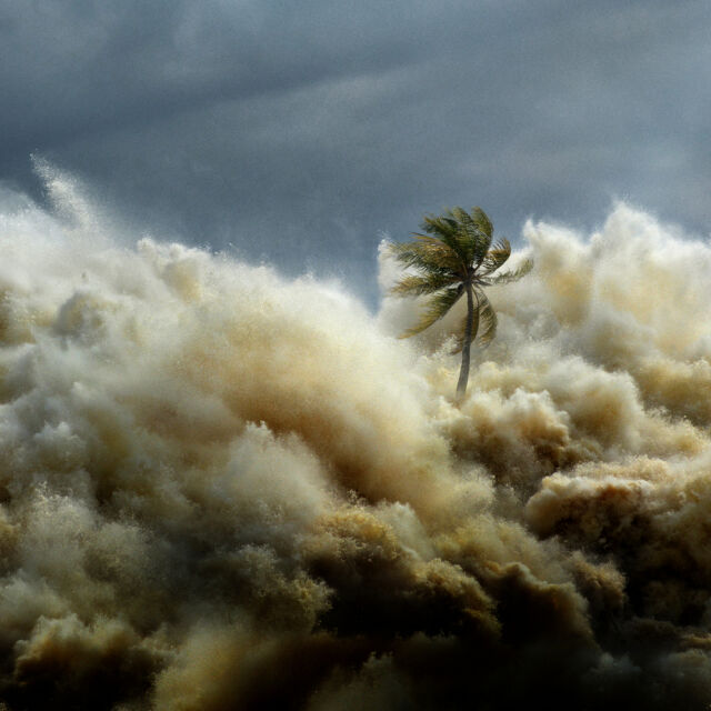 Tsunami: Corrida Contra o Tempo